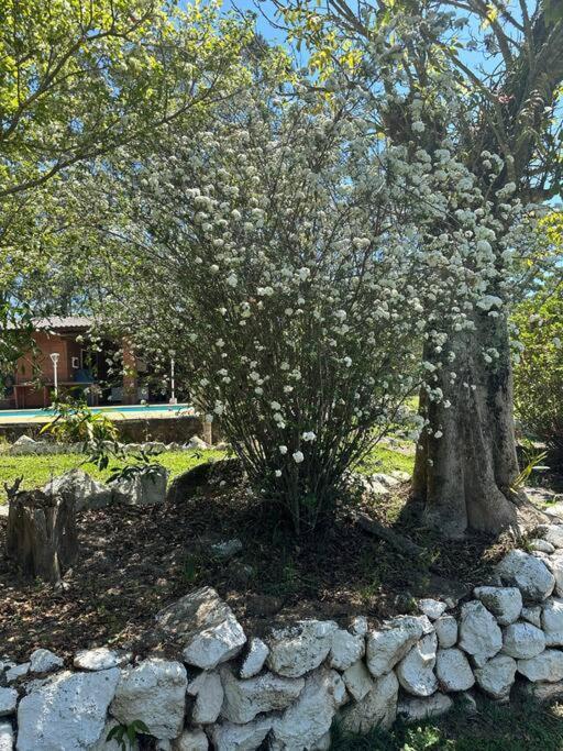 Sitio Beija Flor Em Sao Roque Villa Exterior photo